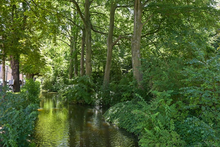 Foto 43 van Javastraat 44-4