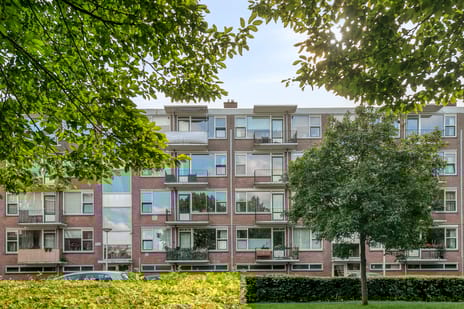 Beethovenlaan thumbnail