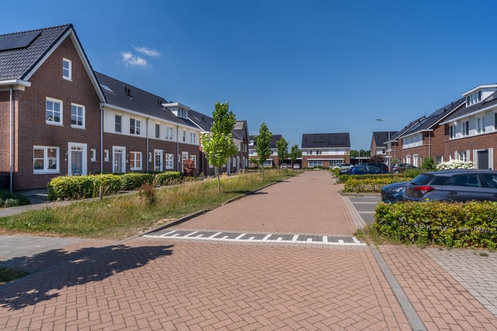 Foto 31 van Meander 19