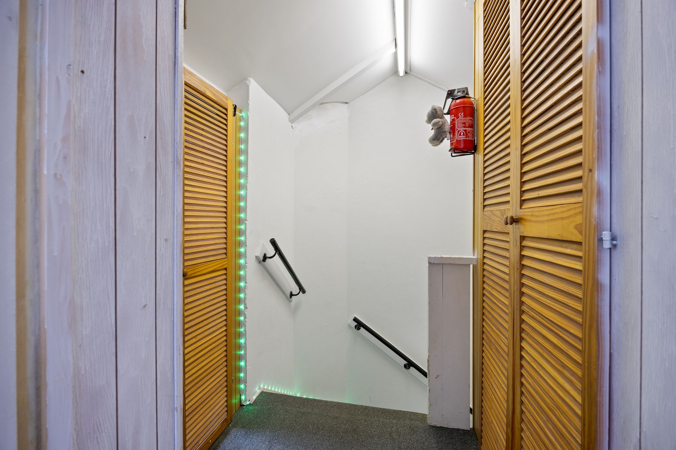 Foto 21 van Mr. Ruys de Beerenbrouckstraat 20