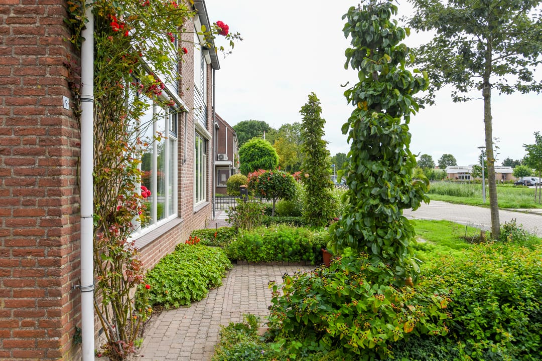 Foto 31 van Botter 9