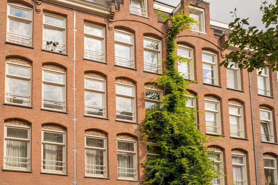 Photo 41 of Balthasar Floriszstraat 47-C