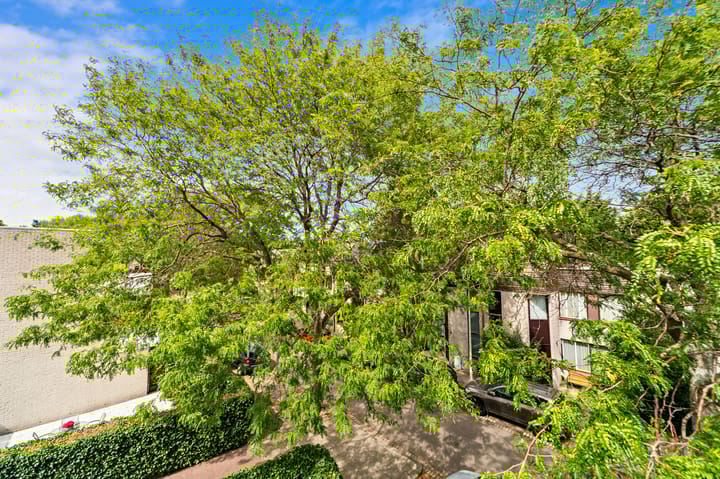 Photo 12 of Architect Krophollerstraat 22