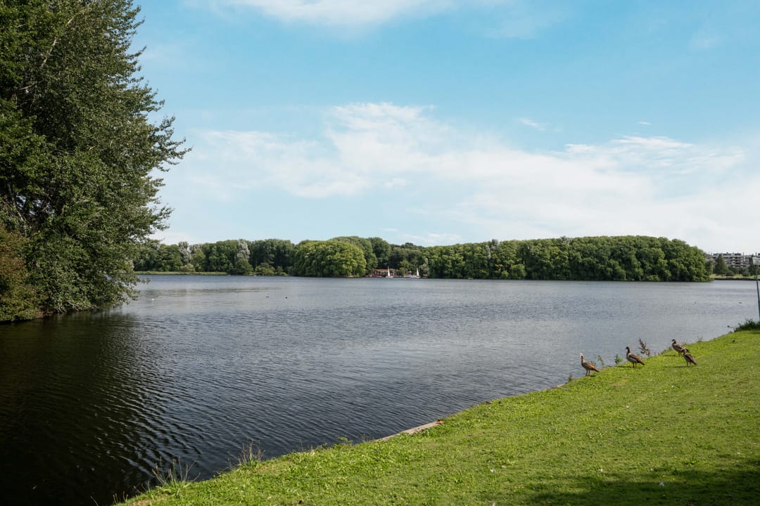 Foto 31 van Boutenburg 323