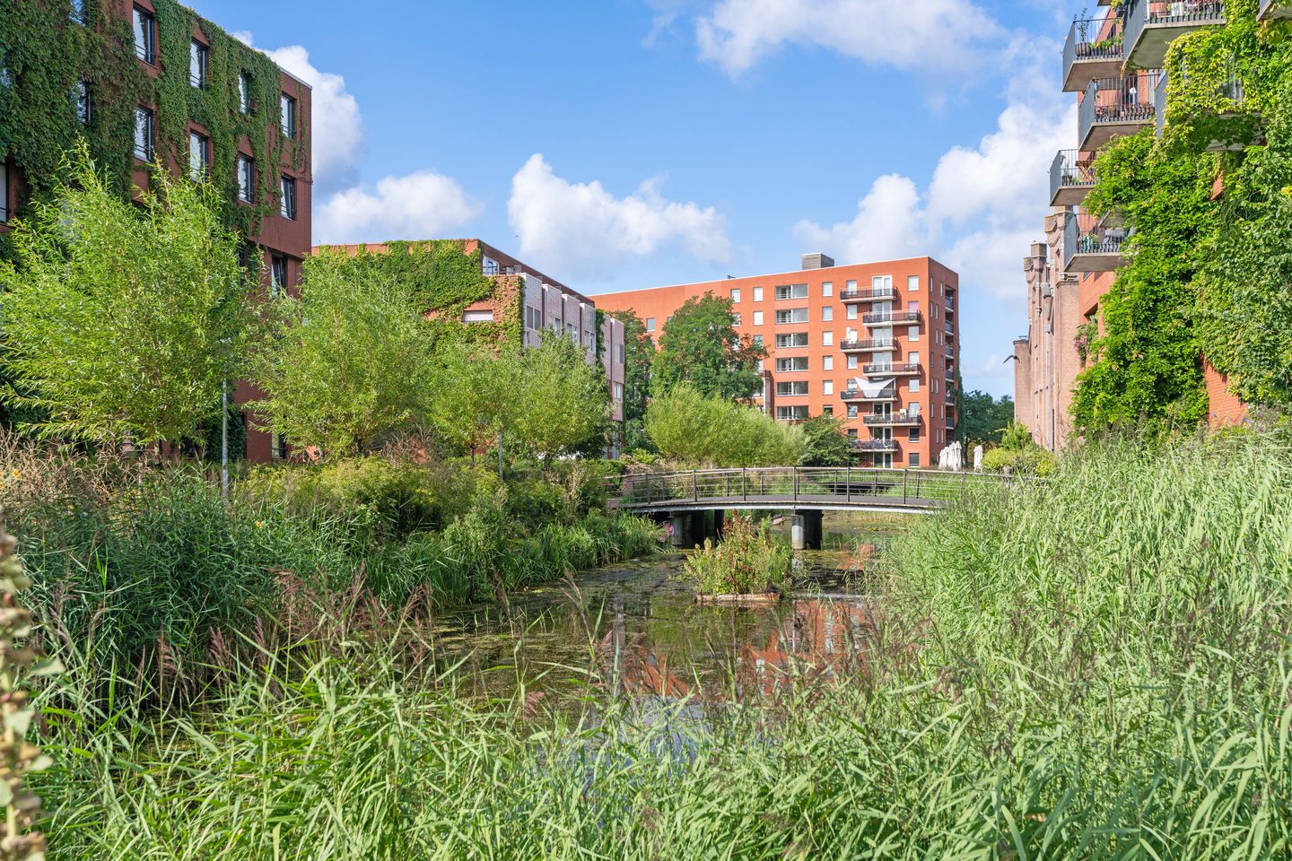 Foto 25 van Van Hallstraat 35-2