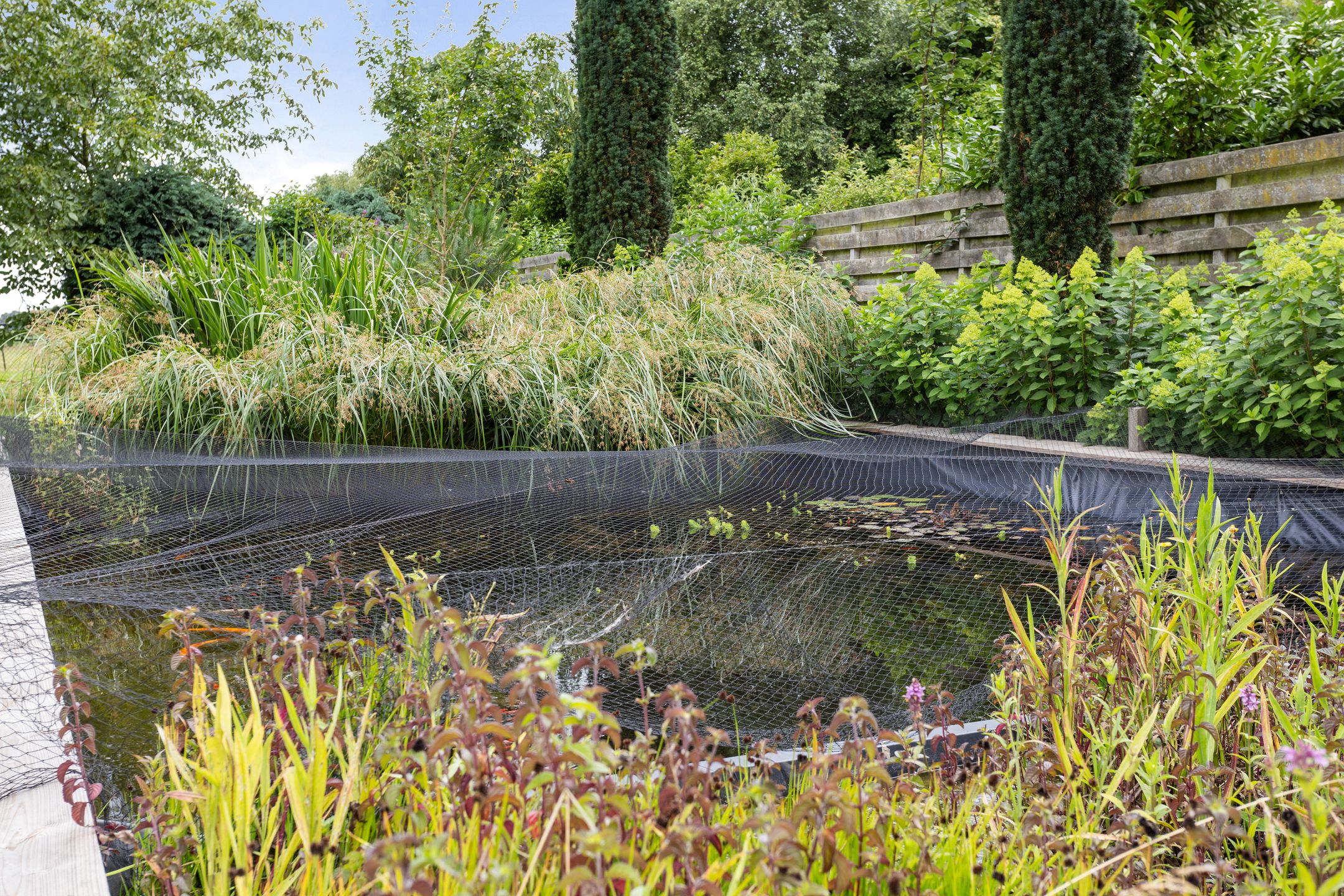 Foto 57 van Kloostermanswijk WZ 64