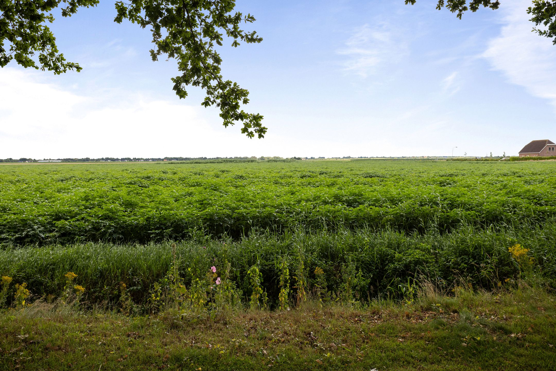 Foto 63 van Kloostermanswijk WZ 64