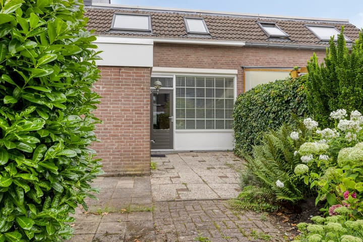 Foto 23 van Maanzaaderf 21