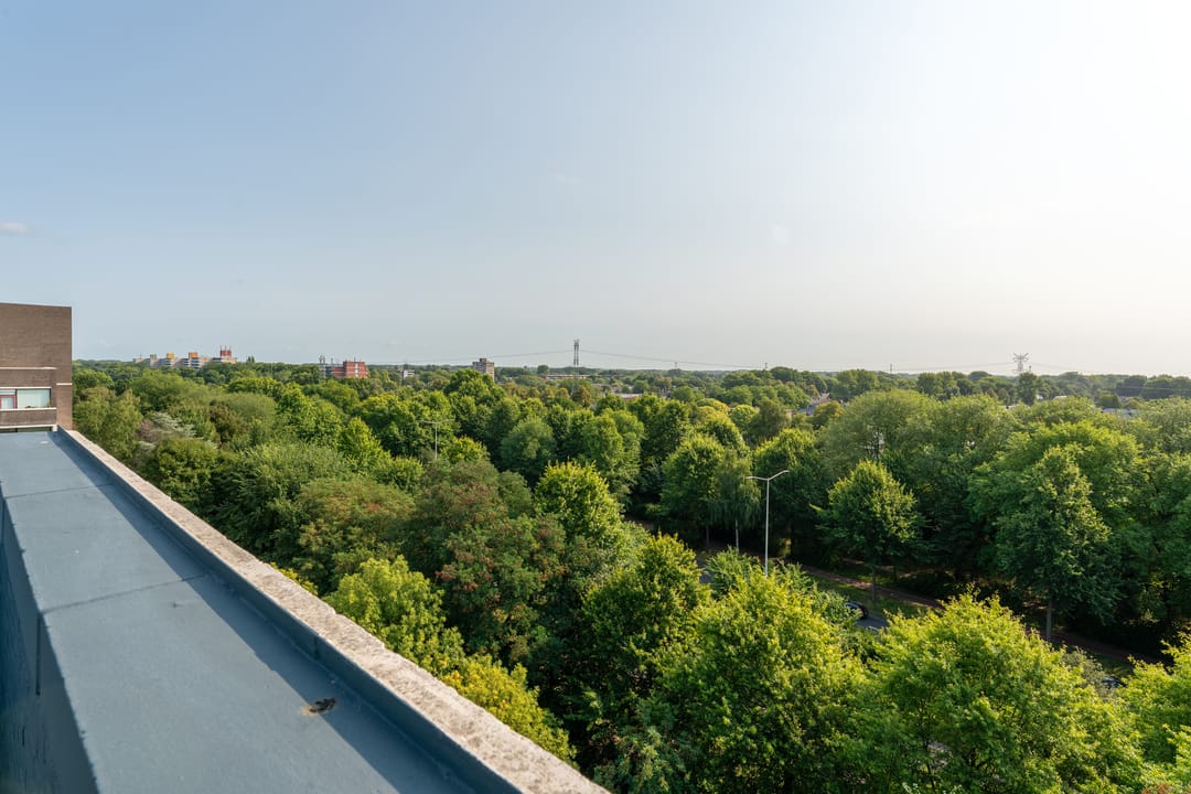 Foto 46 van Korfakker 86