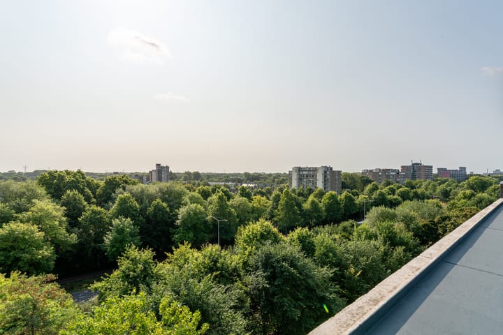 Foto 47 van Korfakker 86