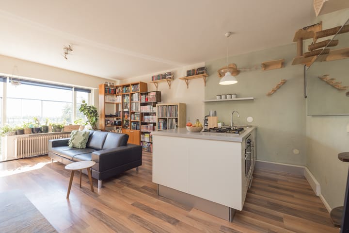 Foto 17 van Aert van Neslaan 645