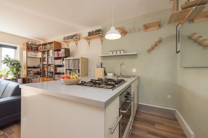 Foto 18 van Aert van Neslaan 645