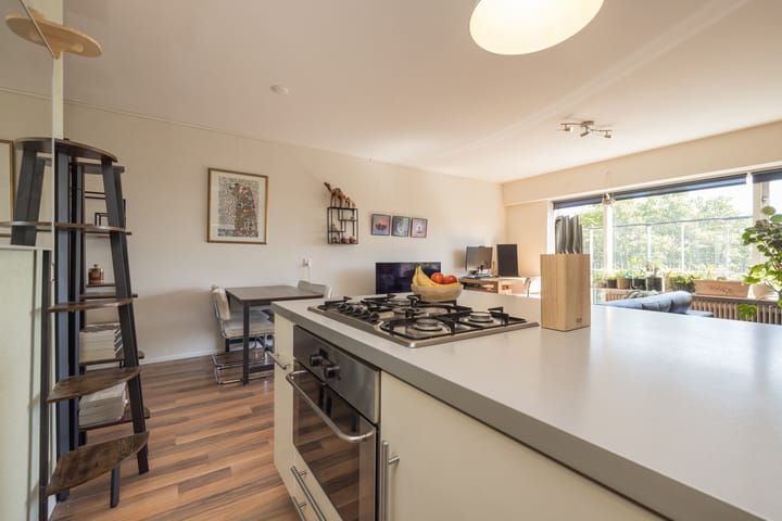 Foto 19 van Aert van Neslaan 645