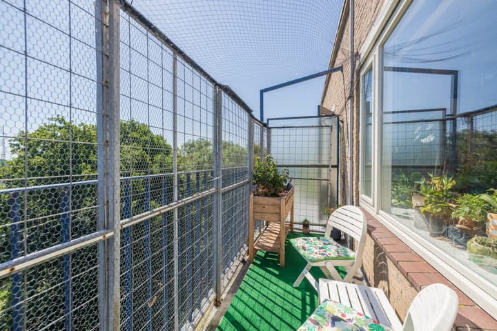 Foto 23 van Aert van Neslaan 645