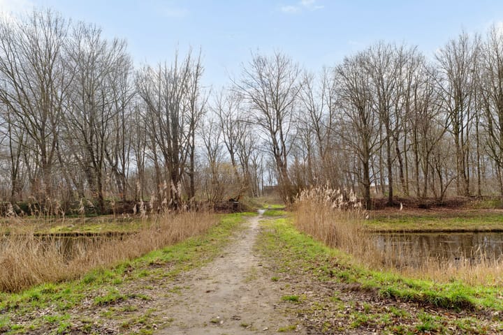 Foto 42 van Novemberstraat 55