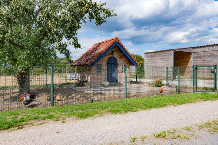 Foto 18 van Illikhoven 5