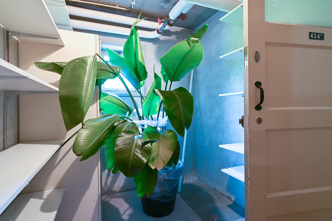 Foto 38 van Segbroeklaan 424-F