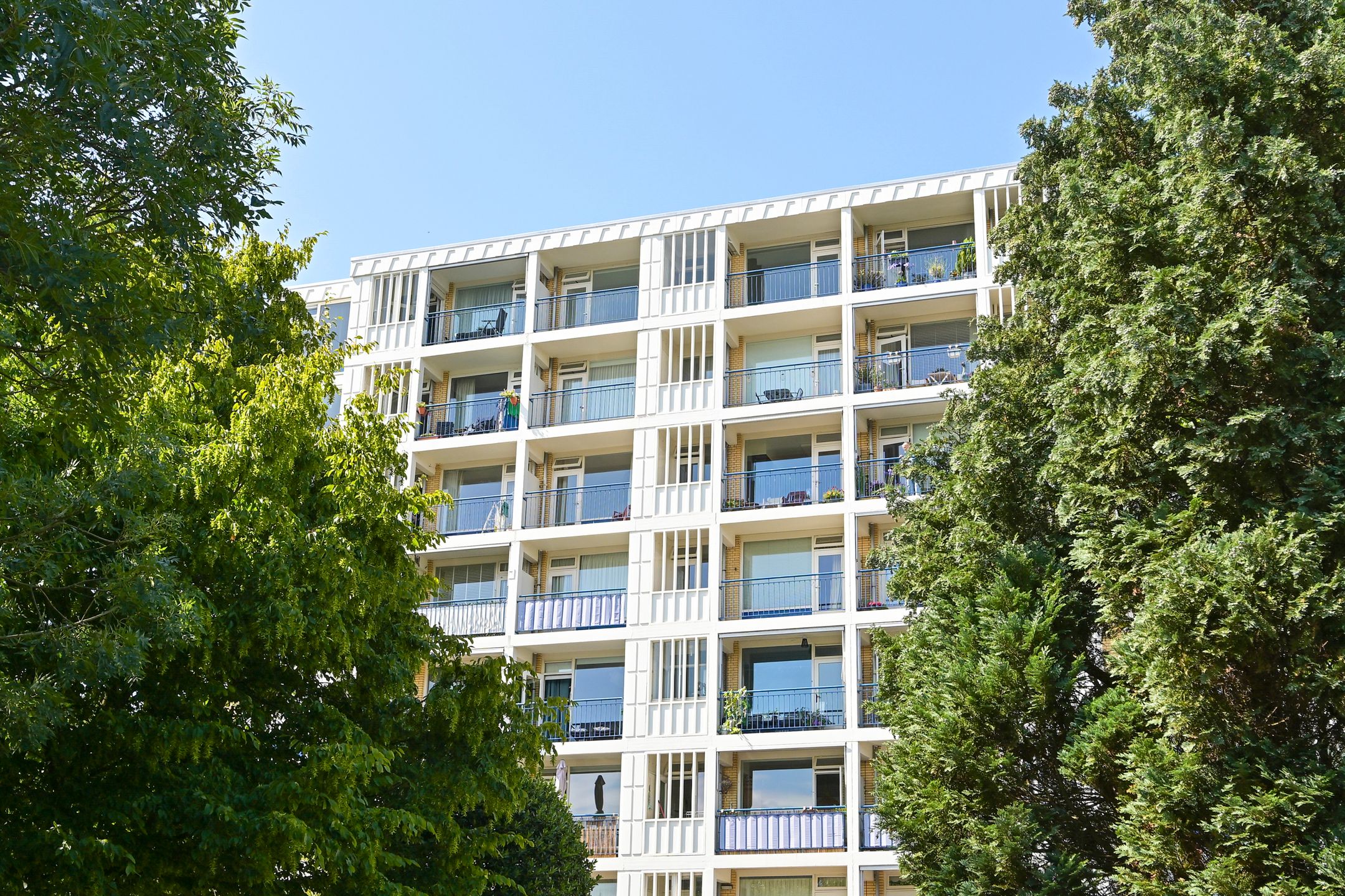 Foto 45 van Segbroeklaan 424-F