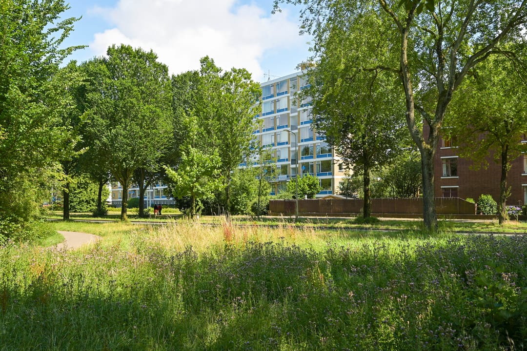 Foto 47 van Segbroeklaan 424-F