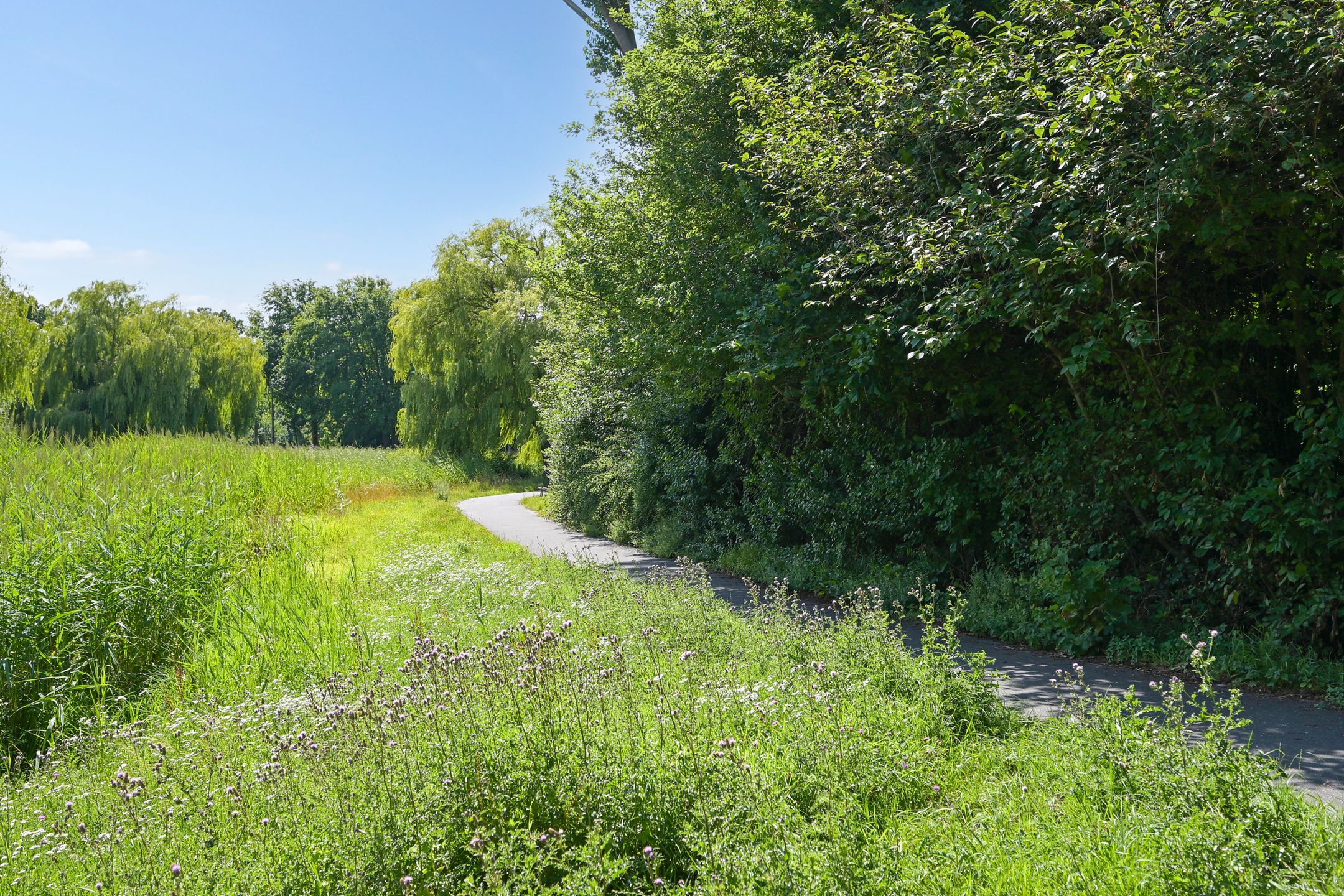 Foto 48 van Segbroeklaan 424-F