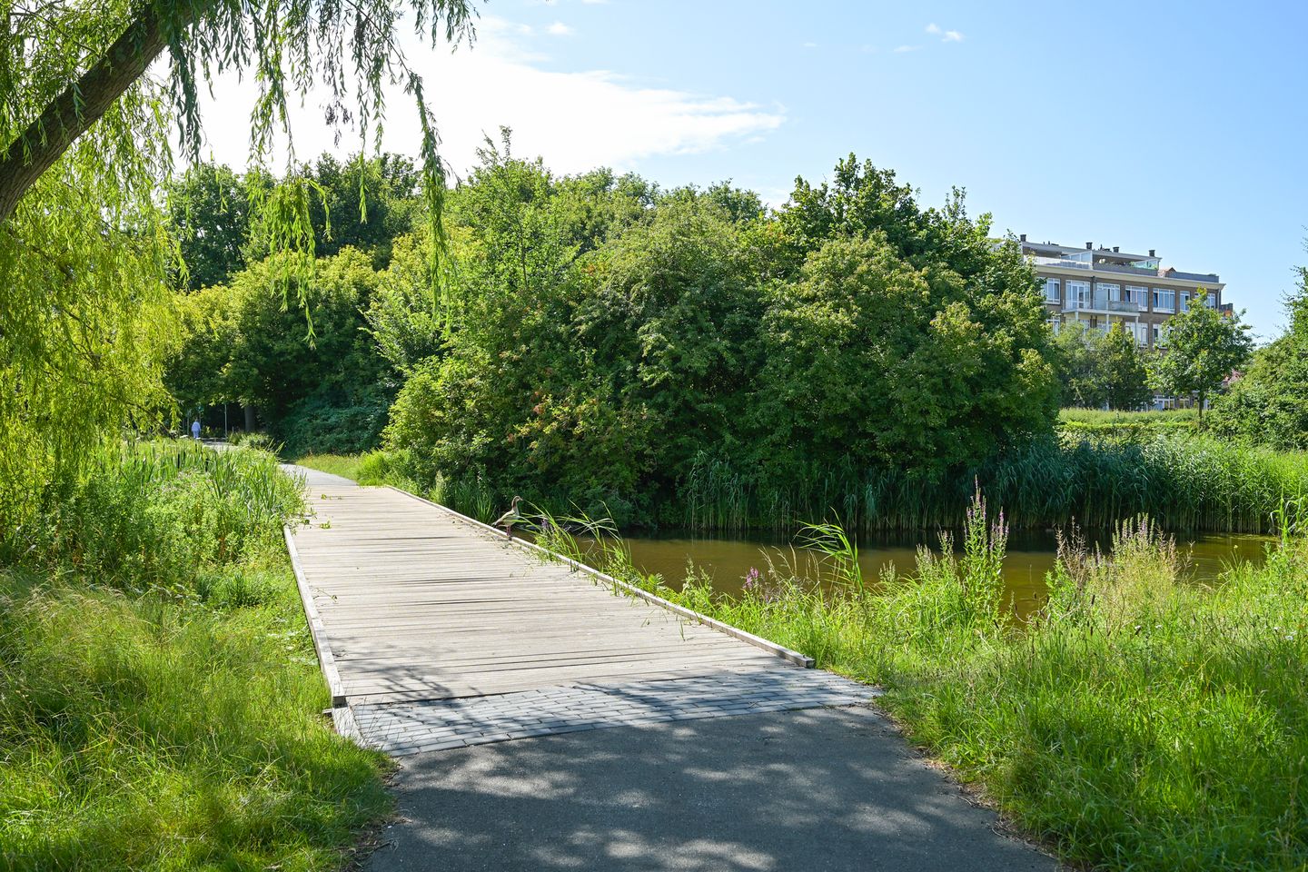 Foto 49 van Segbroeklaan 424-F