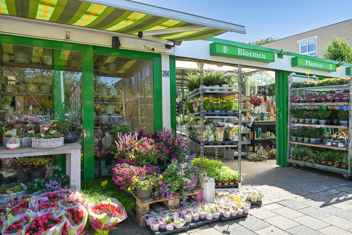 Foto 50 van Segbroeklaan 424-F