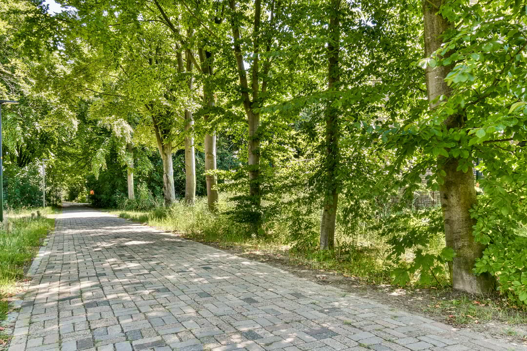 Photo 41 of Duinrugstraat 11