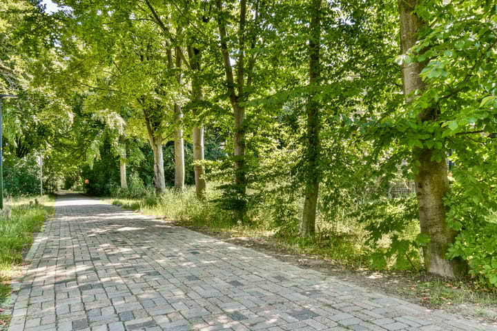 Foto 41 van Duinrugstraat 11