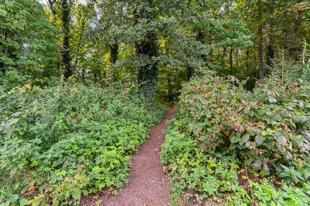 Foto 61 van Oude Kleefsebaan 26