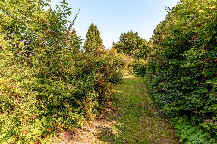 Foto 44 van Kameleonstraat 15