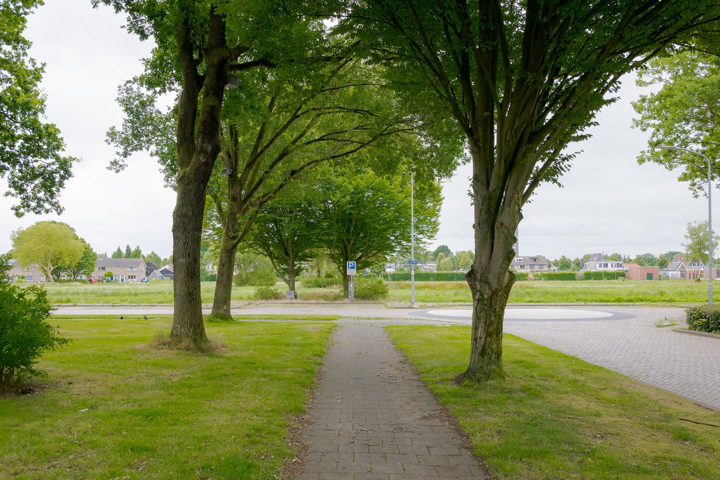 Photo 4 of Epe 38