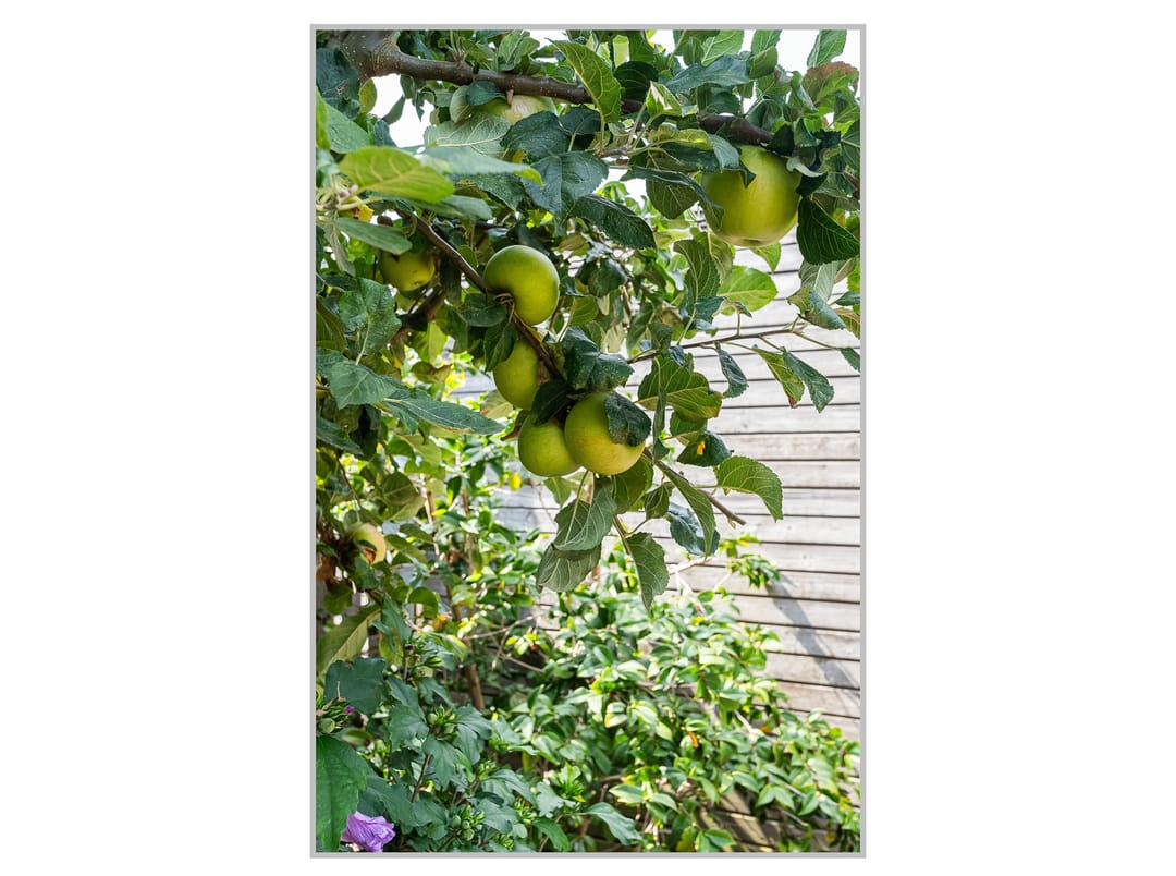 Foto 28 van Januaristraat 83