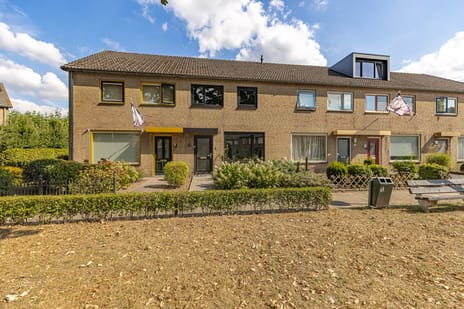 undefined main image