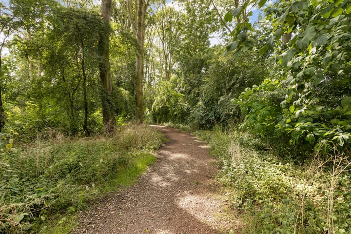 Foto 6 van Mondsteen 7