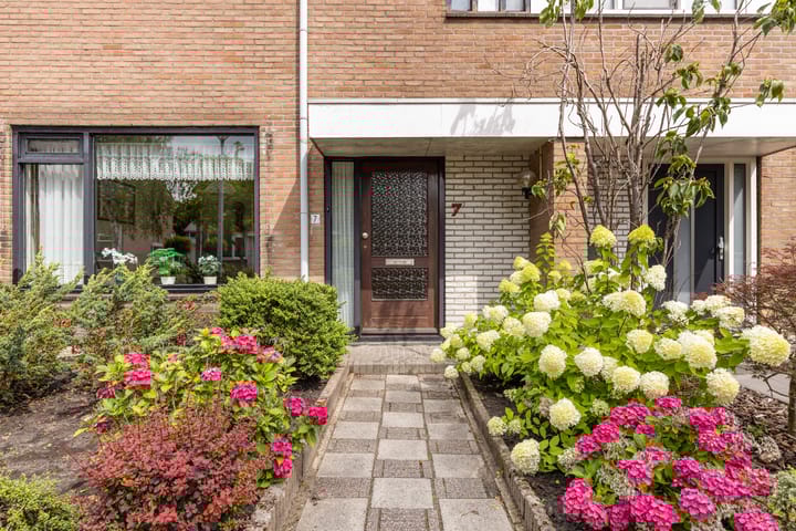 Foto 18 van Mondsteen 7