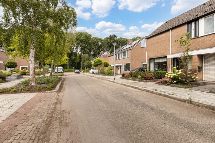 Foto 11 van Mondsteen 7