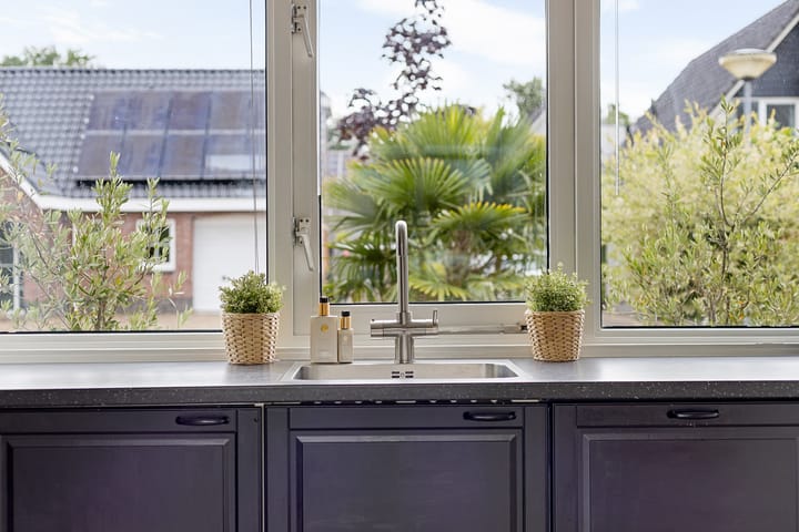 Foto 6 van Hondsdraf 12