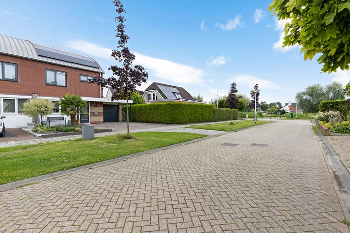 Foto 11 van Hondsdraf 12