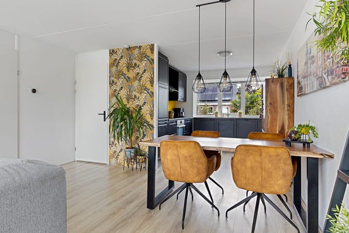 Foto 29 van Hondsdraf 12