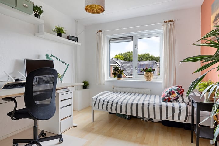 Foto 40 van Hondsdraf 12