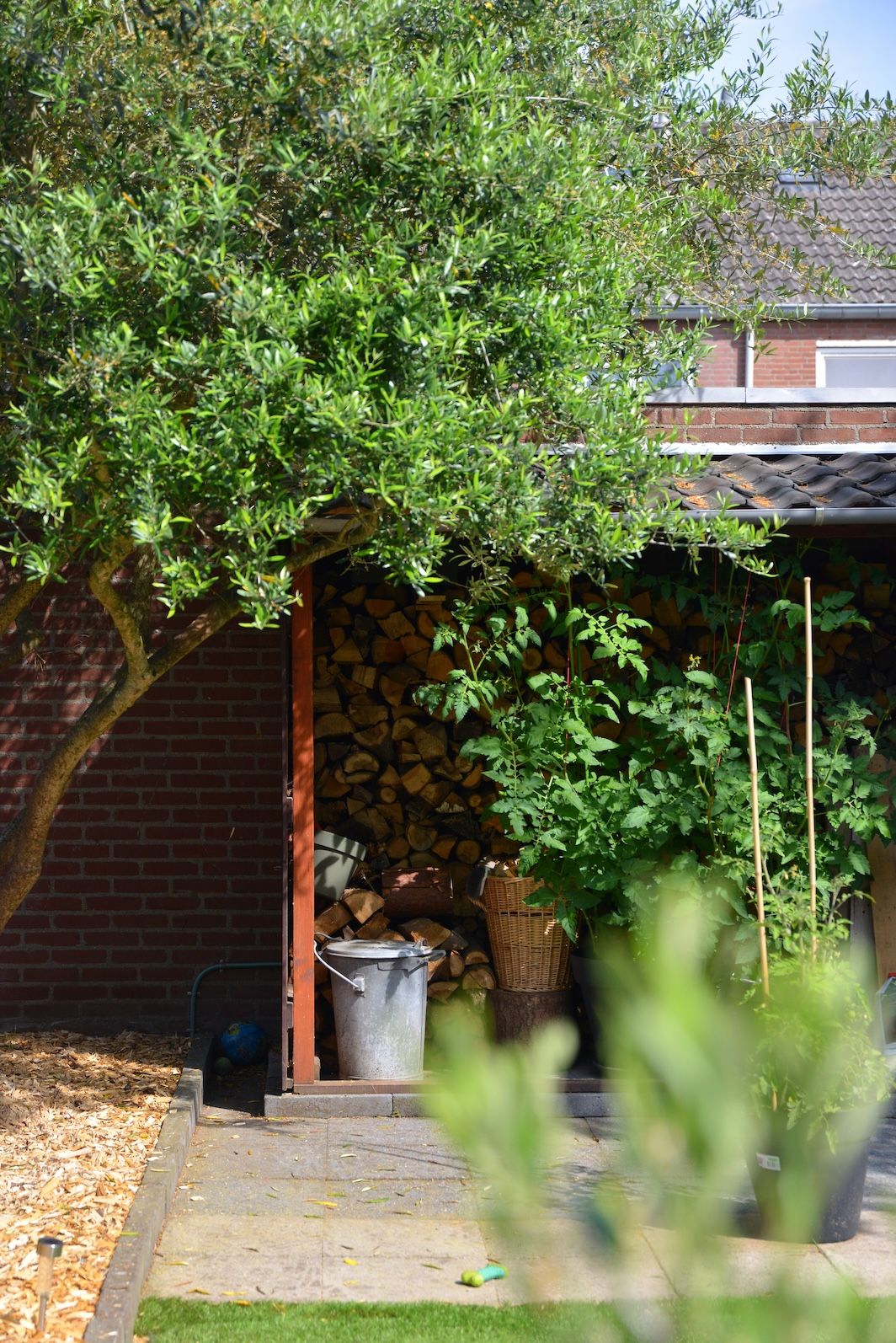 Foto 12 van Sterplein 34