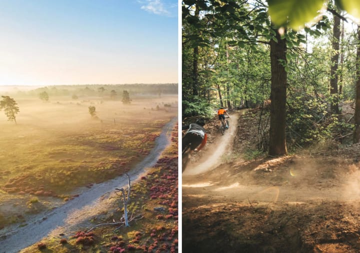 Photo 9 of Molenstraat