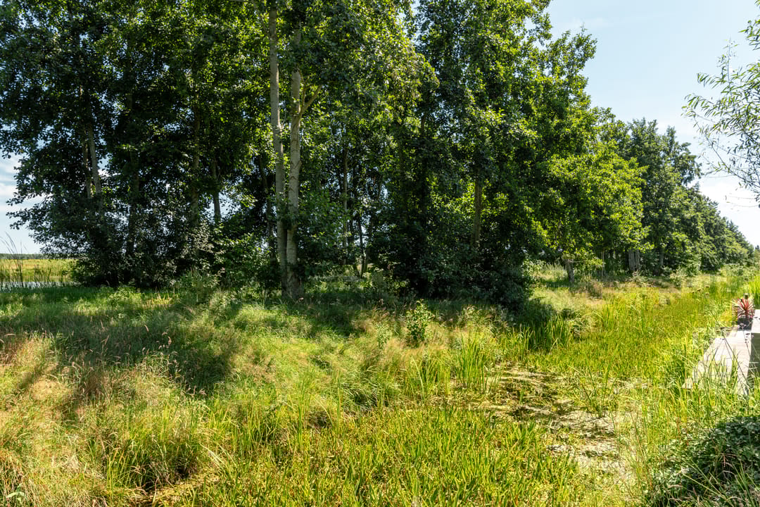 Foto 56 van Regentesselaan 7