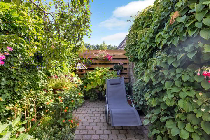 Foto 46 van Impalastraat 50