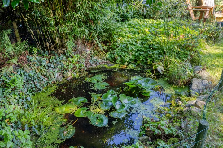 Foto 38 van Hamelakkerlaan 4