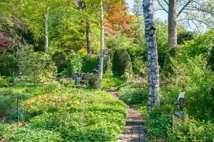 Foto 32 van Van Tuyll van Serooskerkenweg 24