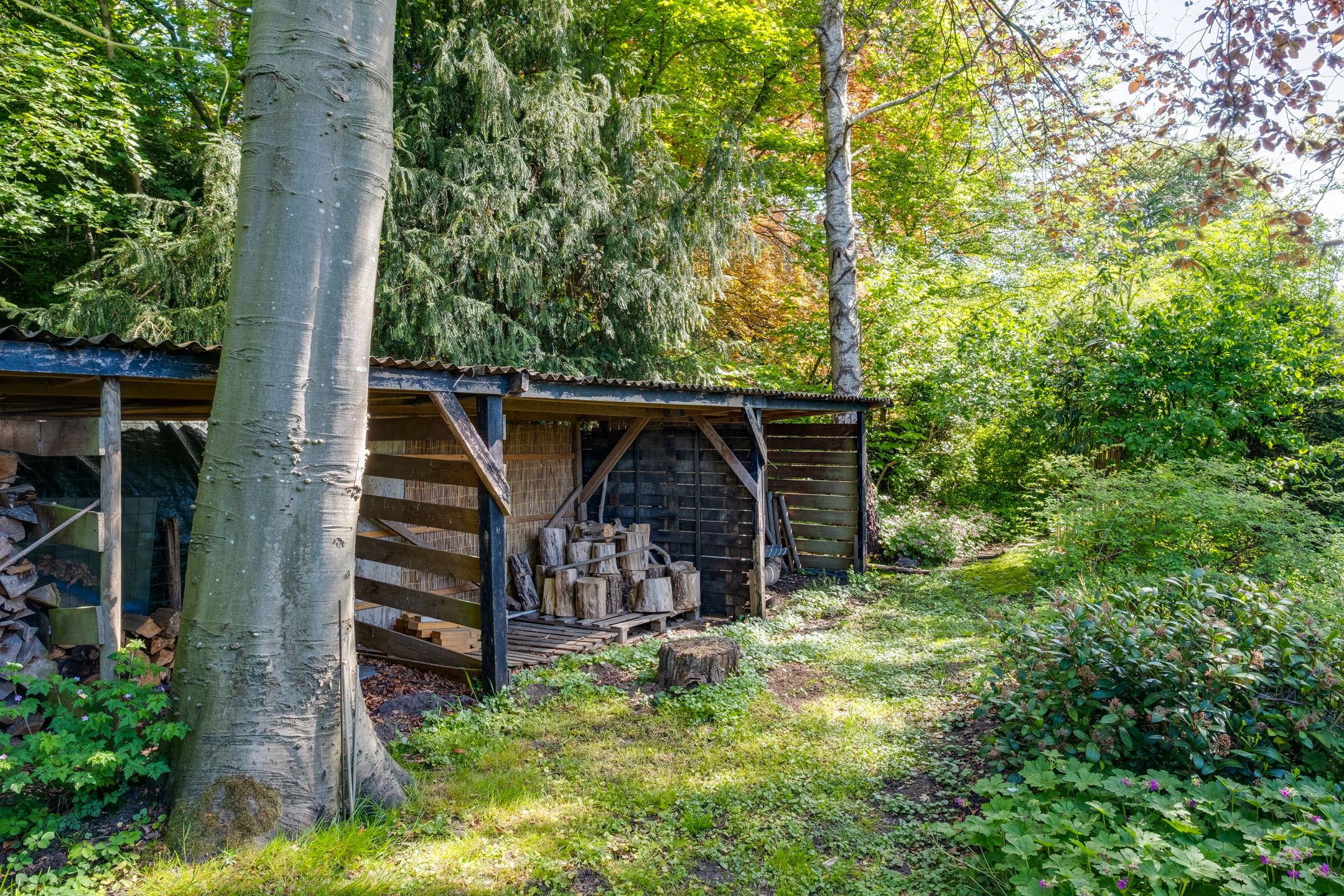 Foto 36 van Van Tuyll van Serooskerkenweg 24