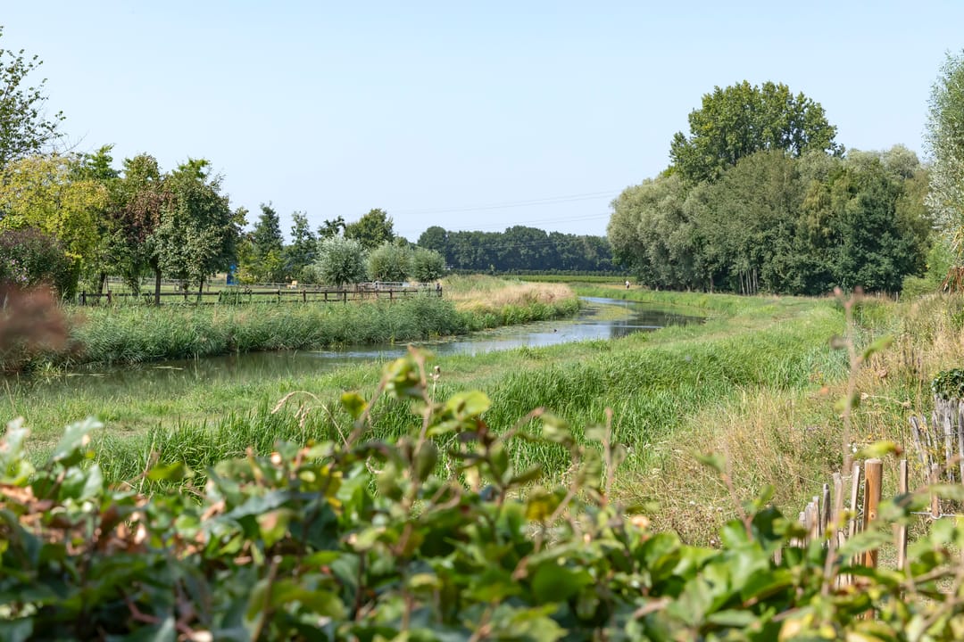 Foto 38 van Reuselhof 30