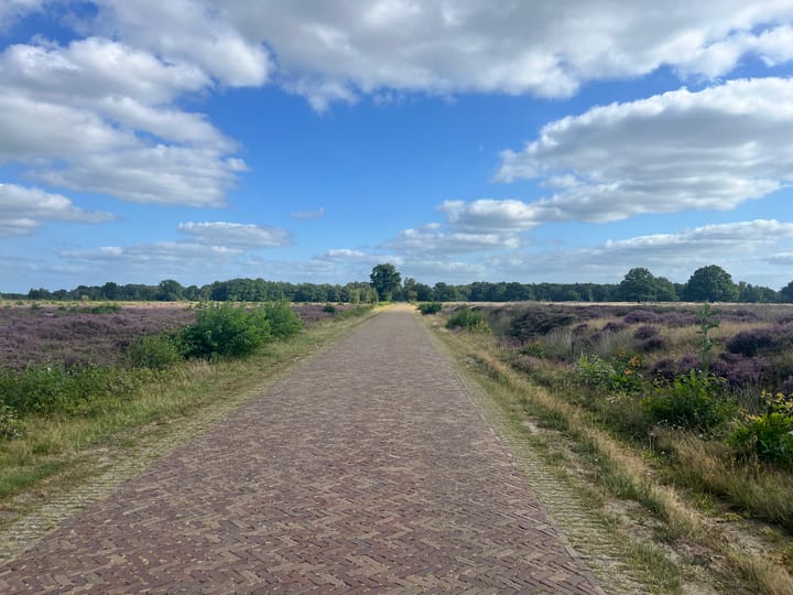 Photo 18 of De Haar 4 Avereest G 4944