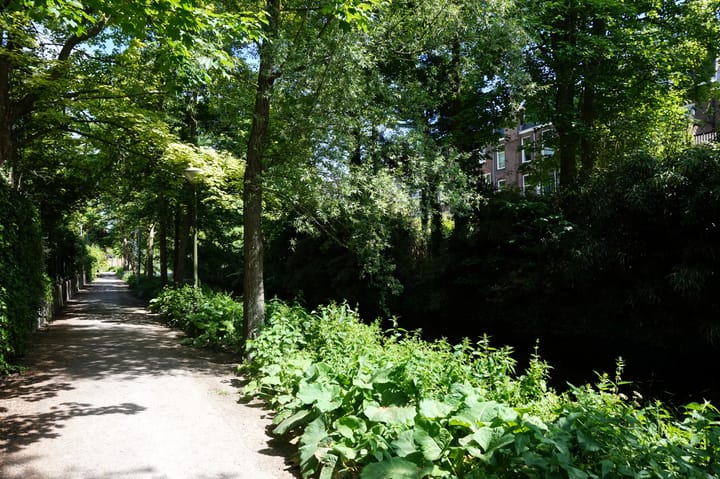 Photo 58 of Groot Hertoginnelaan 15